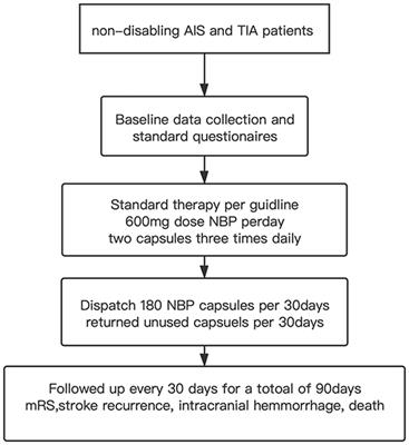 Efficacy and Safety of Adherence to dl-3-n-Butylphthalide Treatment in Patients With Non-disabling Minor Stroke and TIA—Analysis From a Nationwide, Multicenter Registry